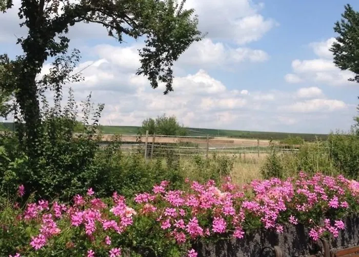 Am Backhausgarten Apartamento *